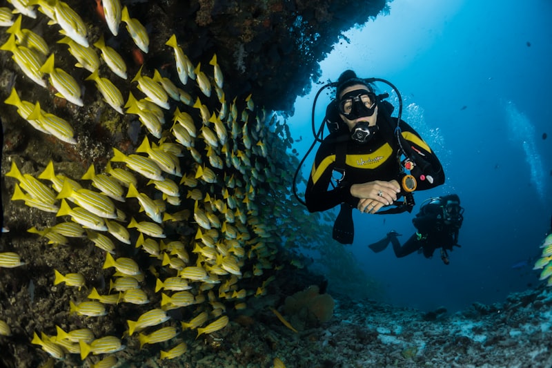 Bucket List Experiences